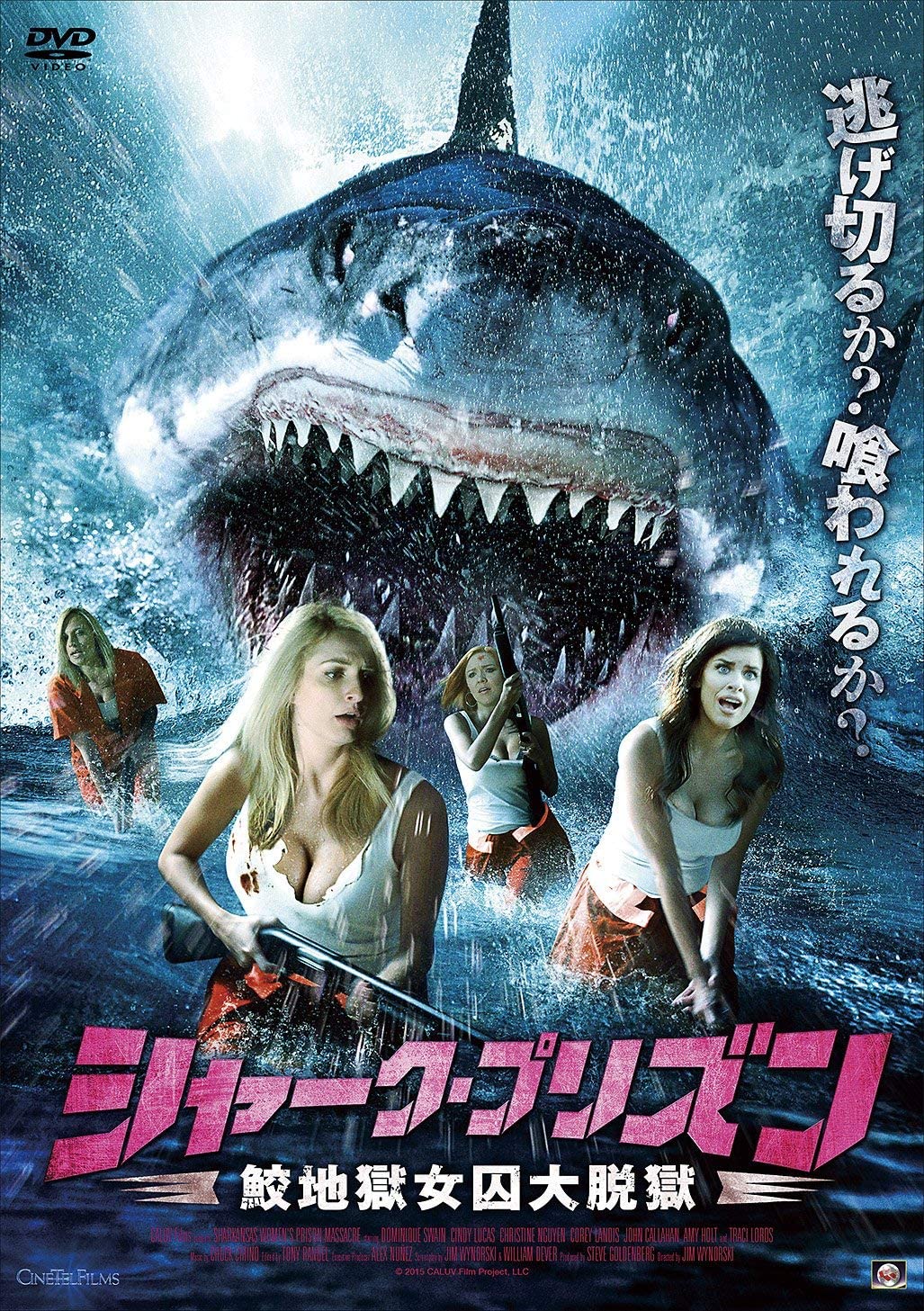 映画 シャーク プリズン 鮫地獄女囚大脱獄 感想 ダイスで決める人生 ダイスで決める人生